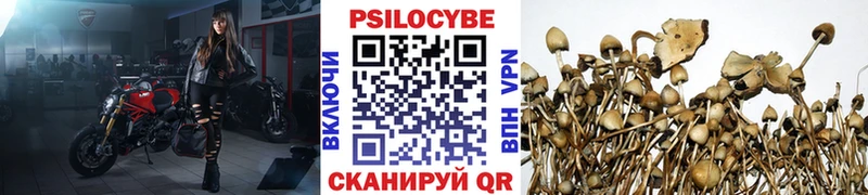 Галлюциногенные грибы Magic Shrooms  продажа наркотиков  Малоархангельск 